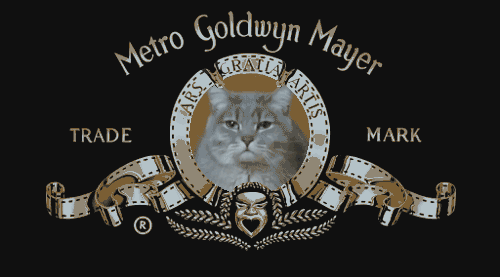 mgm-cat-gif-durentis-tumblr_large